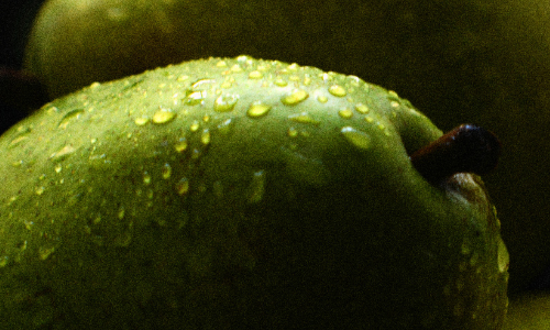 Adjuvants and Correctors
